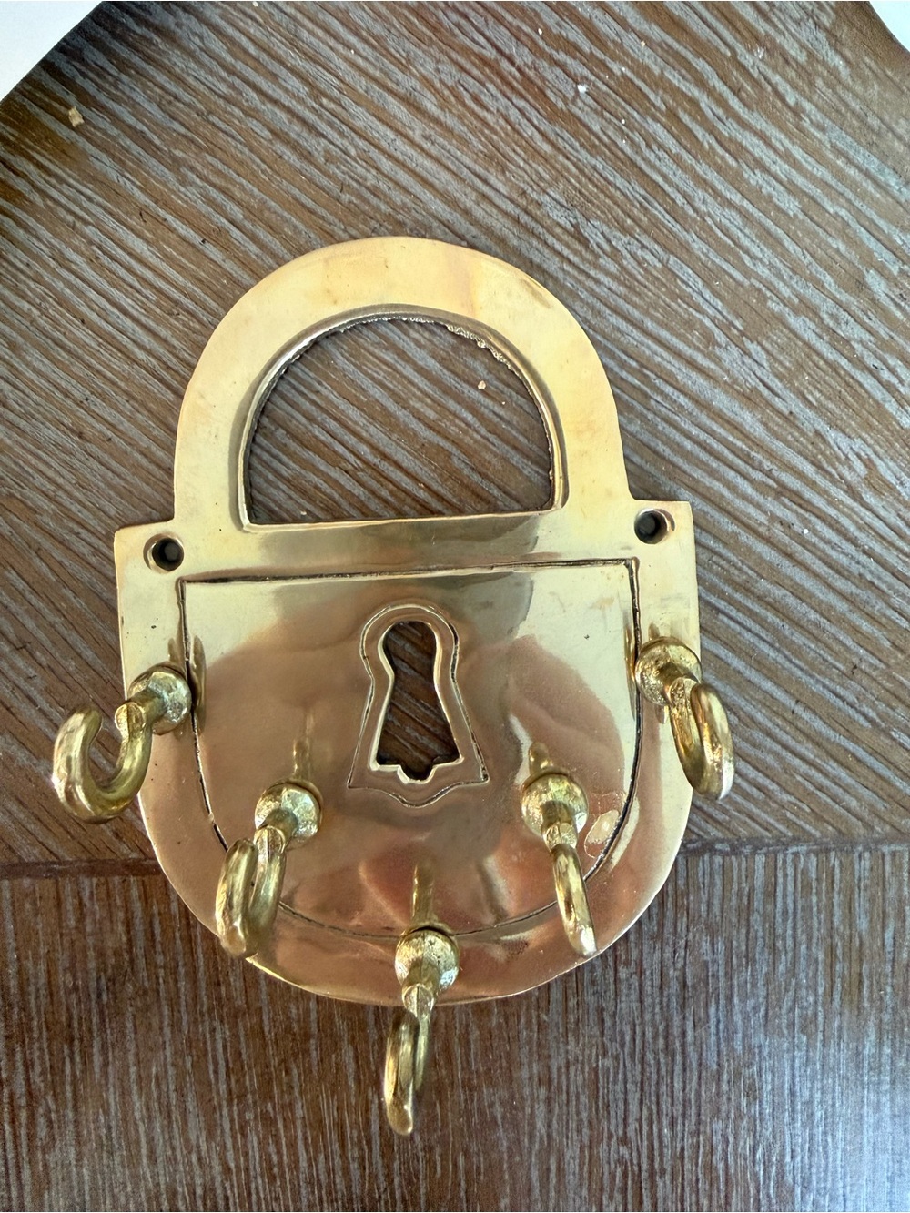 Brass Padlock Style Wall Key Holder - Gold